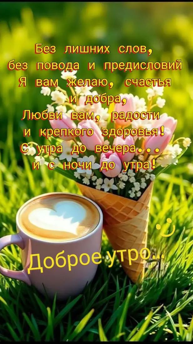 @Elza