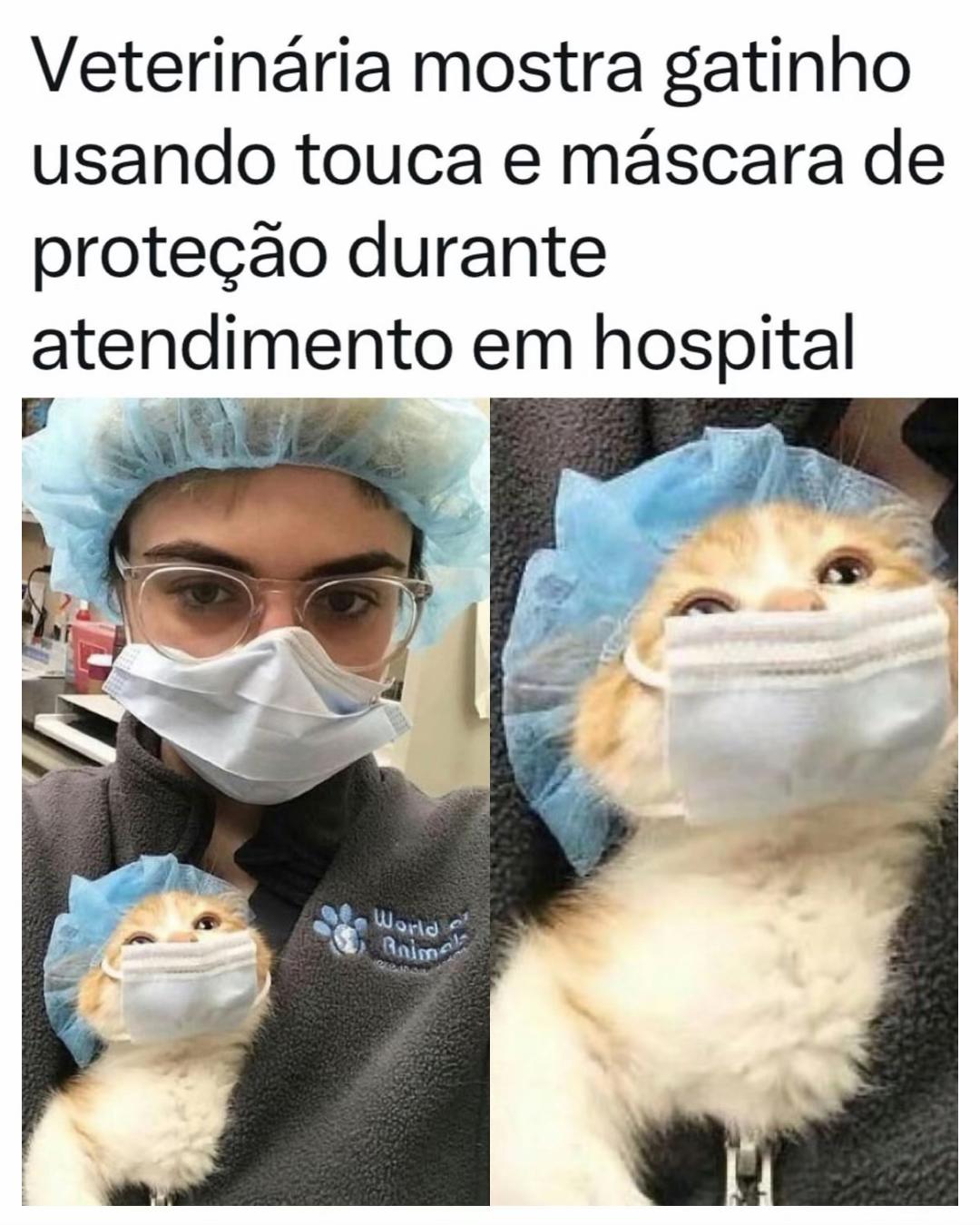 @Alfinetei