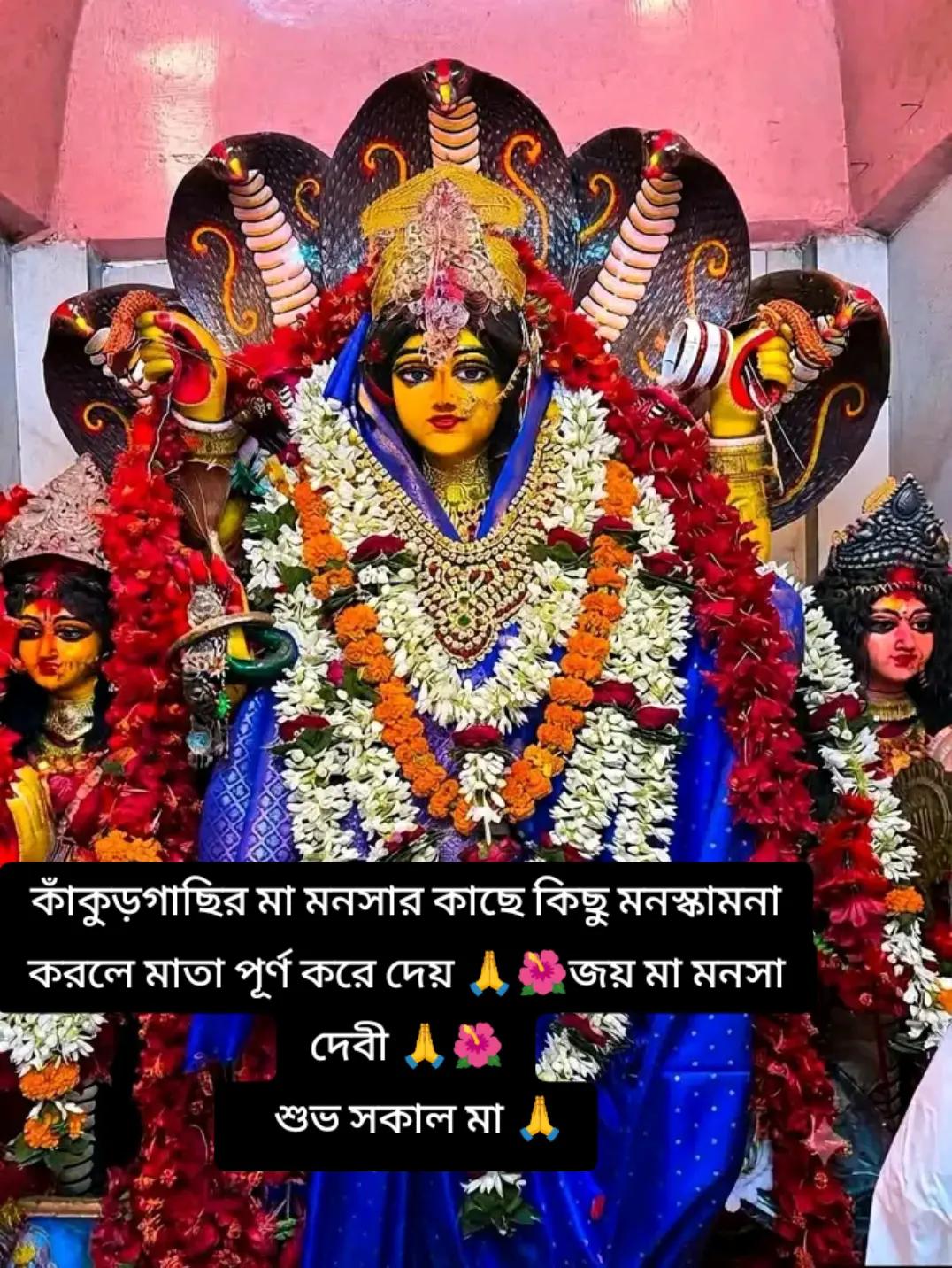@🌻🦋 रानी कविता🦋🌻