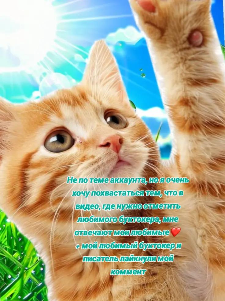 @тгк:Gostluw