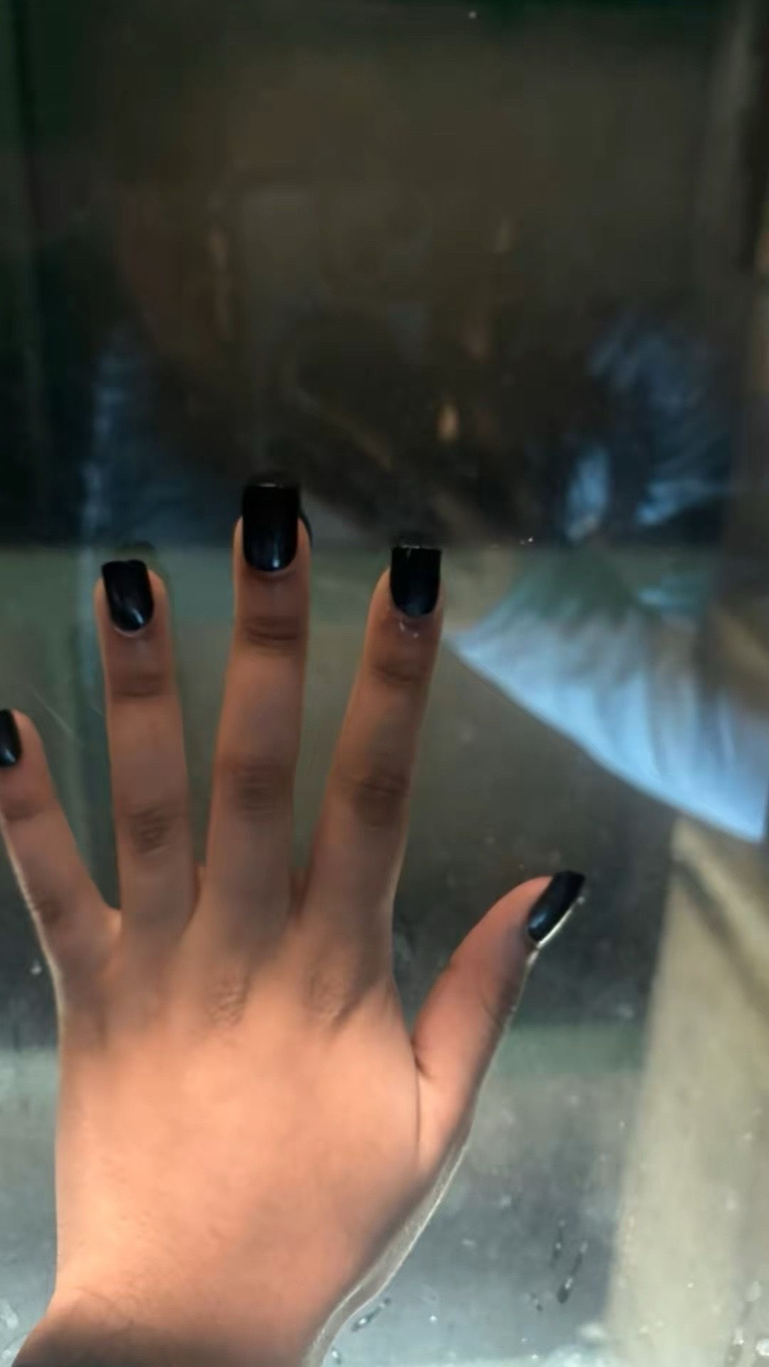 @queen f