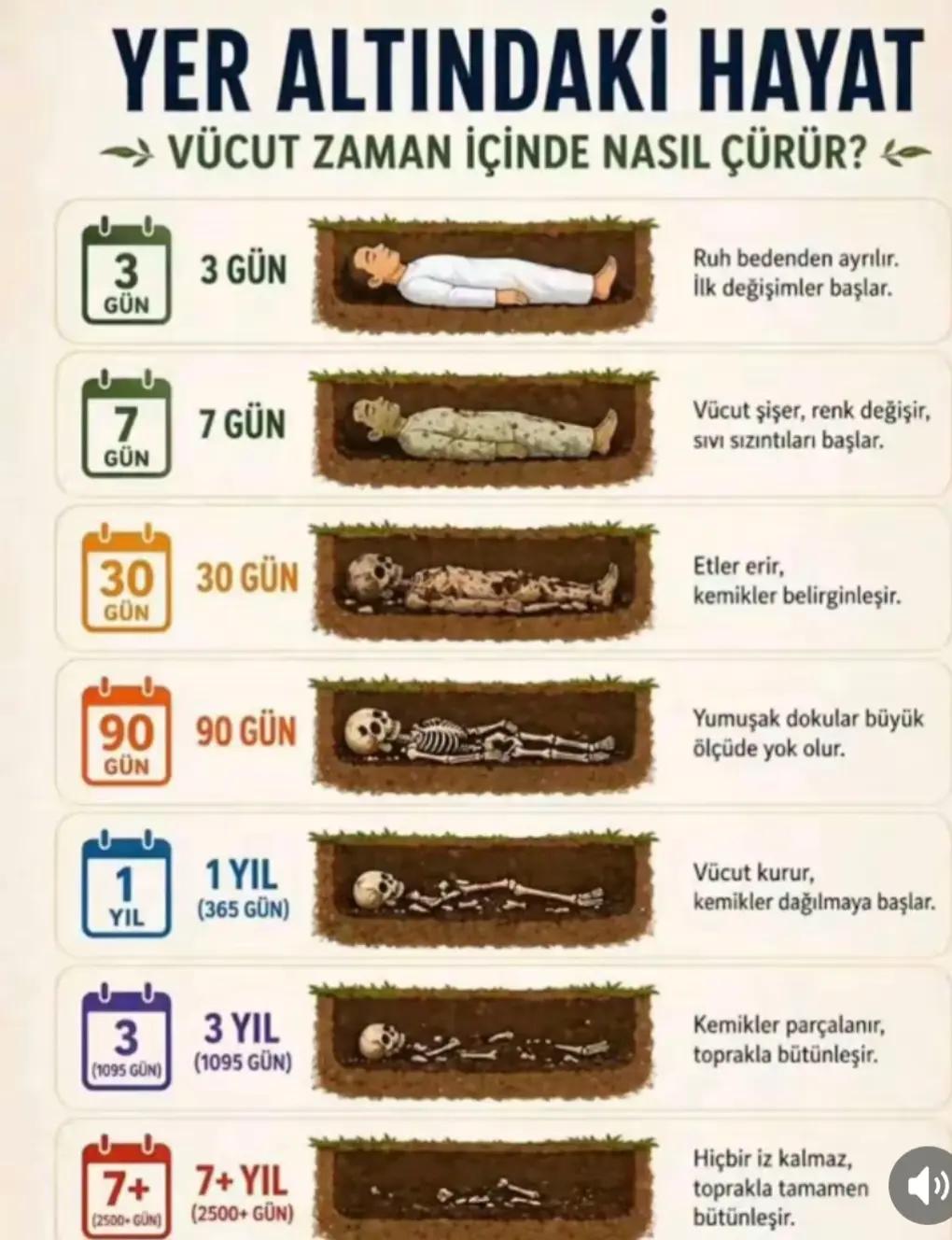 @💎 K&Uuml;&Ccedil;&Uuml;K CELEP 💎