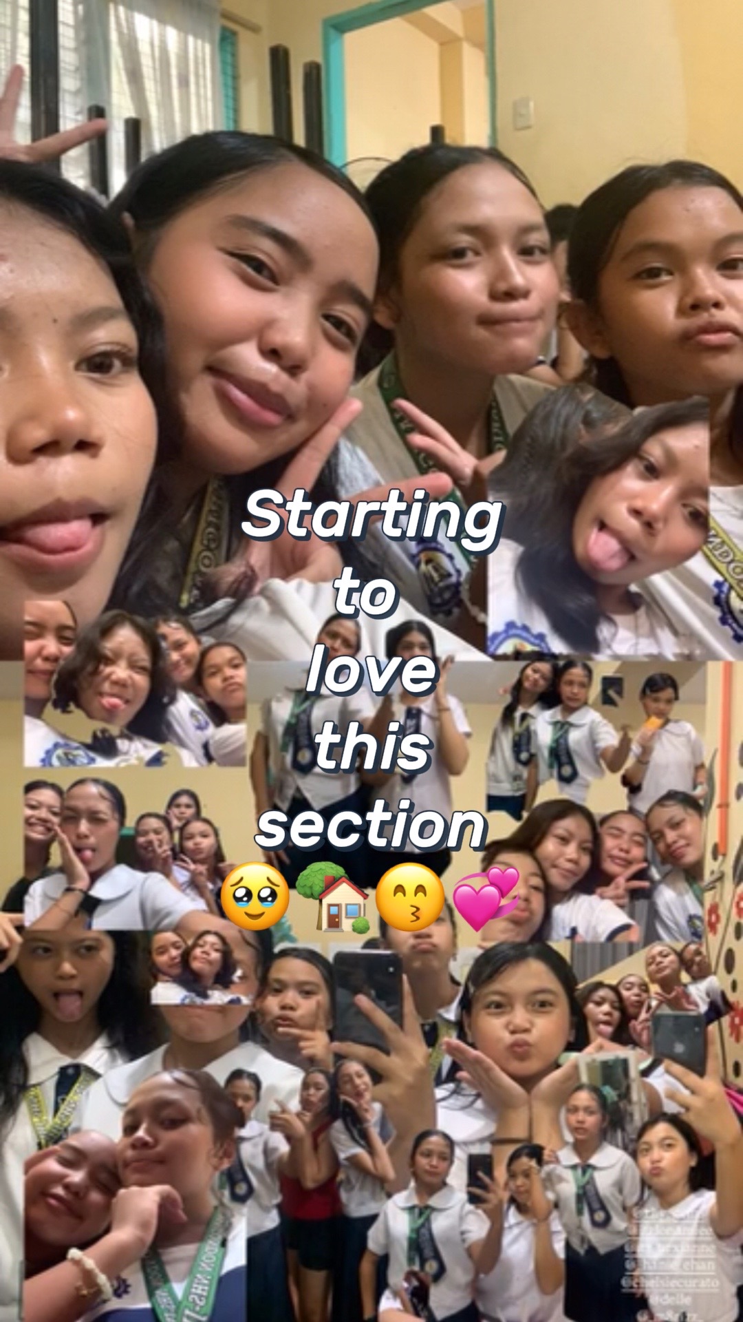 @ms.roselinmae