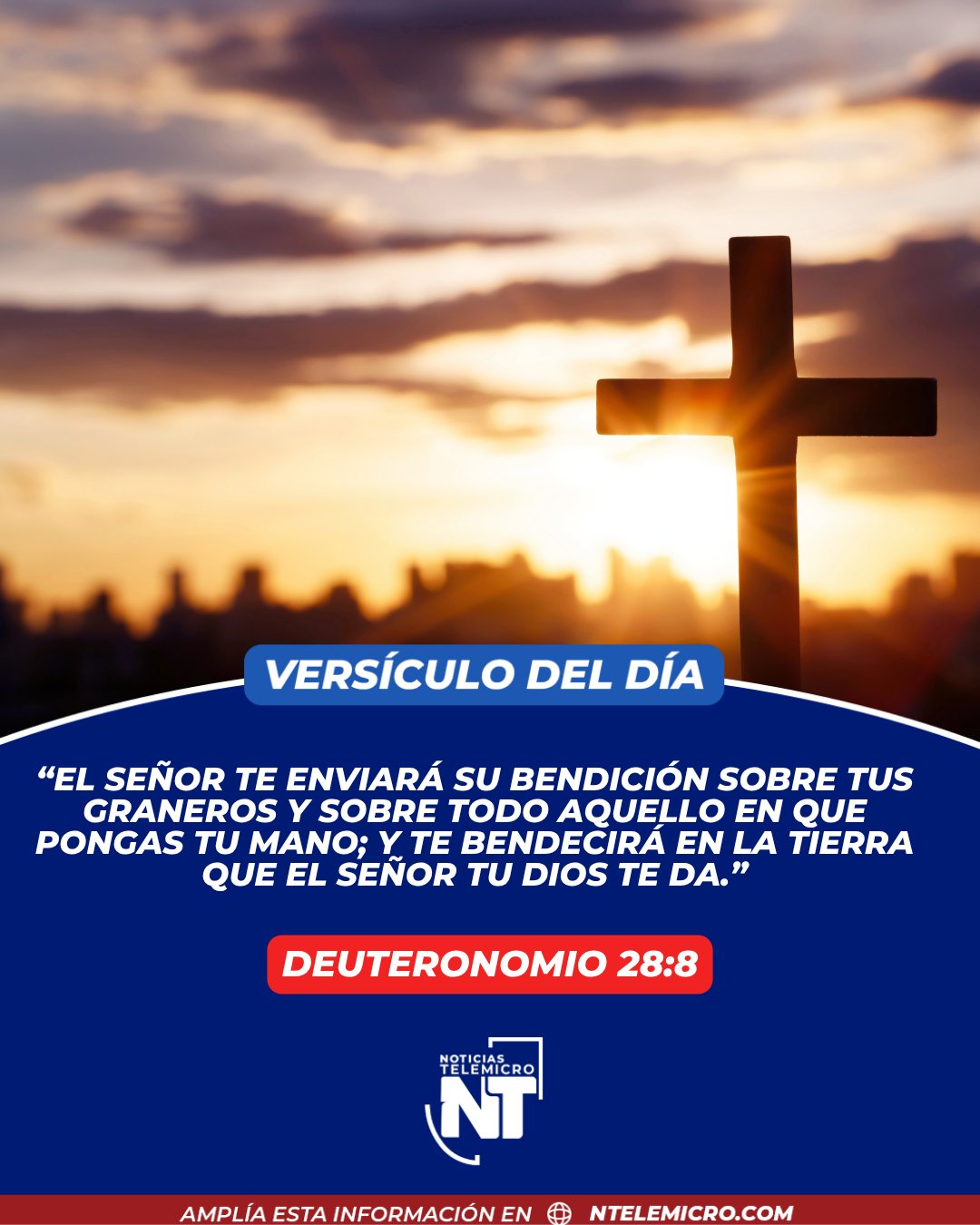 @Miguel Medina oficial