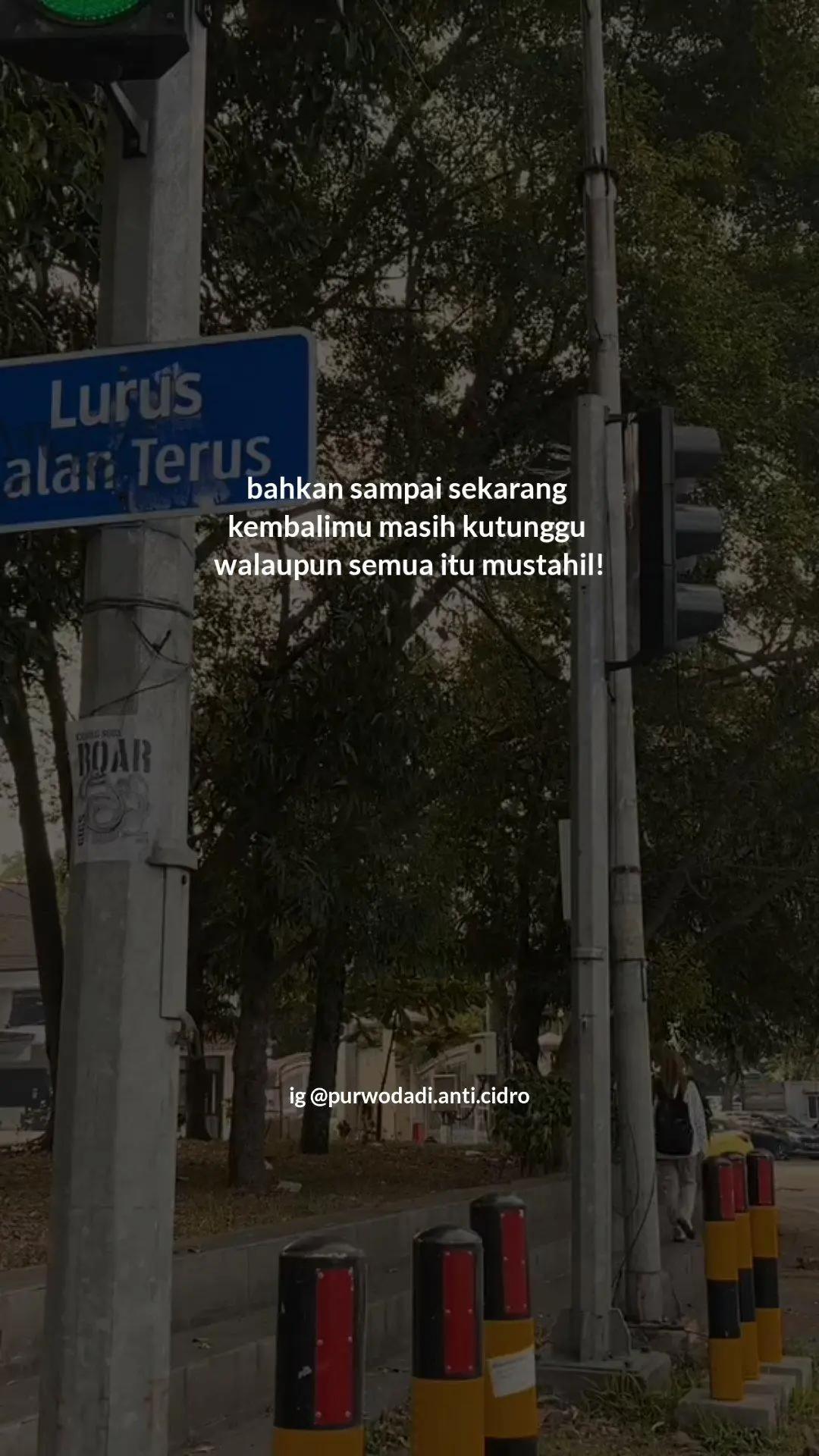 @Purwodadi Anti Cidro