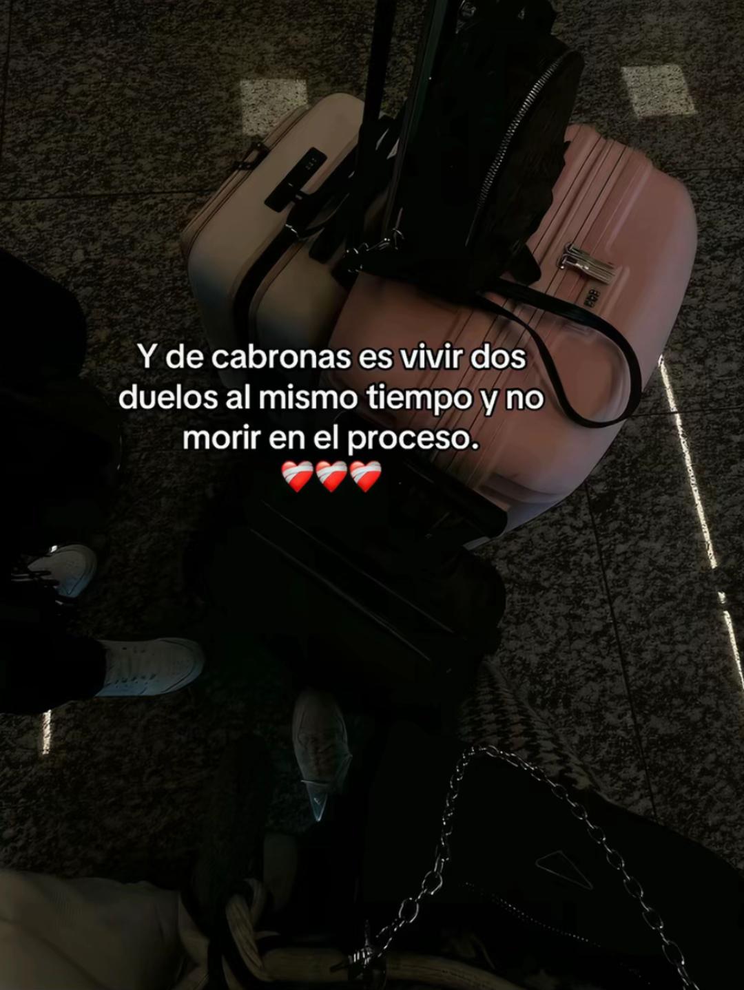 @Itzel Romero 🌸