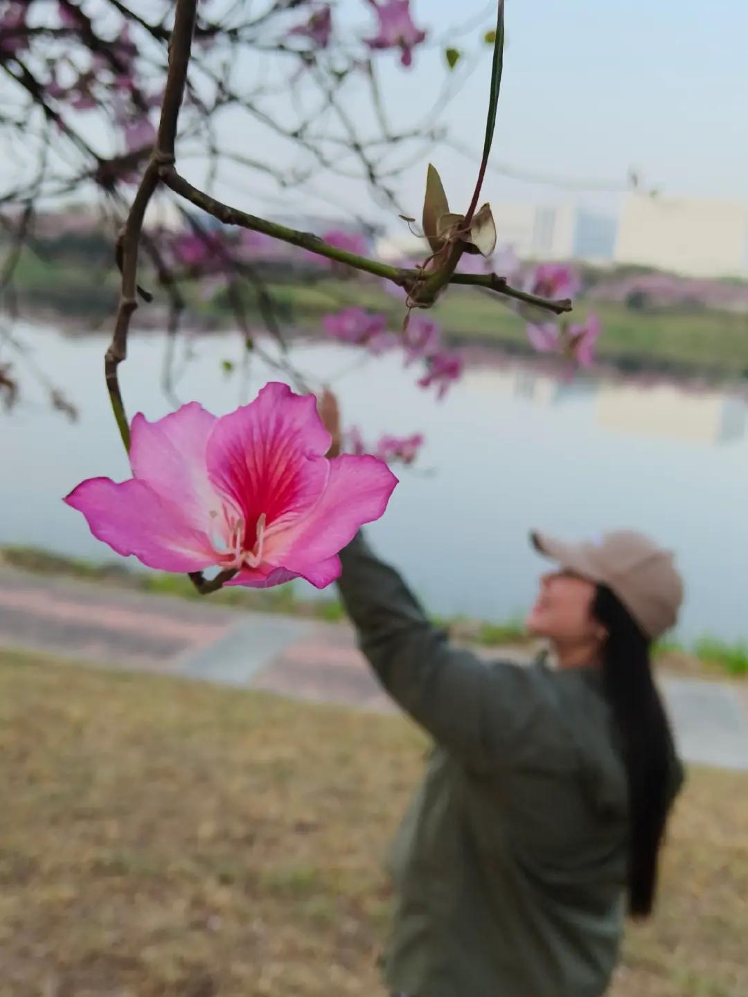 @JAM 芙朗 🇹🇼