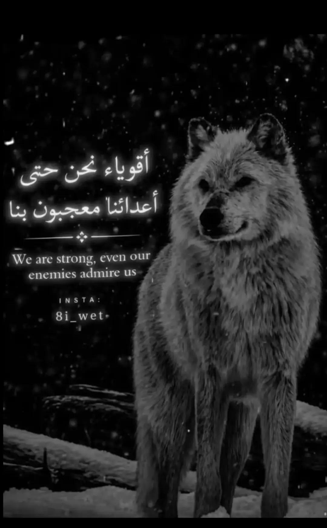 @المكسيكي لآ يخون 🫆🥇