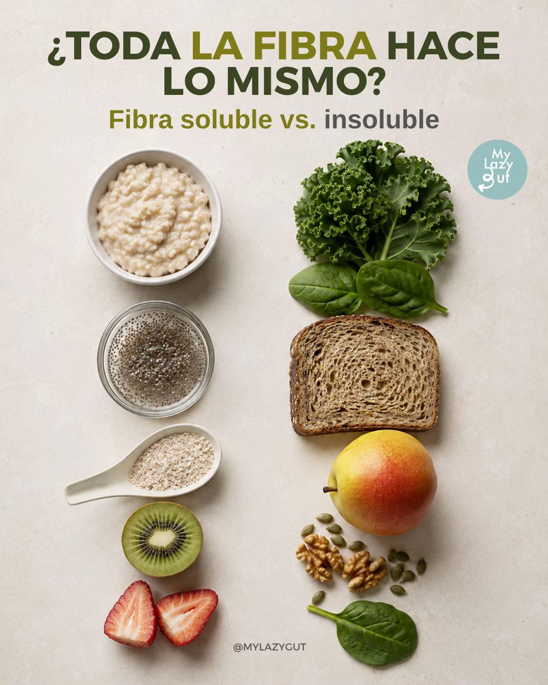 @Mylazygut/Digestión Saludable