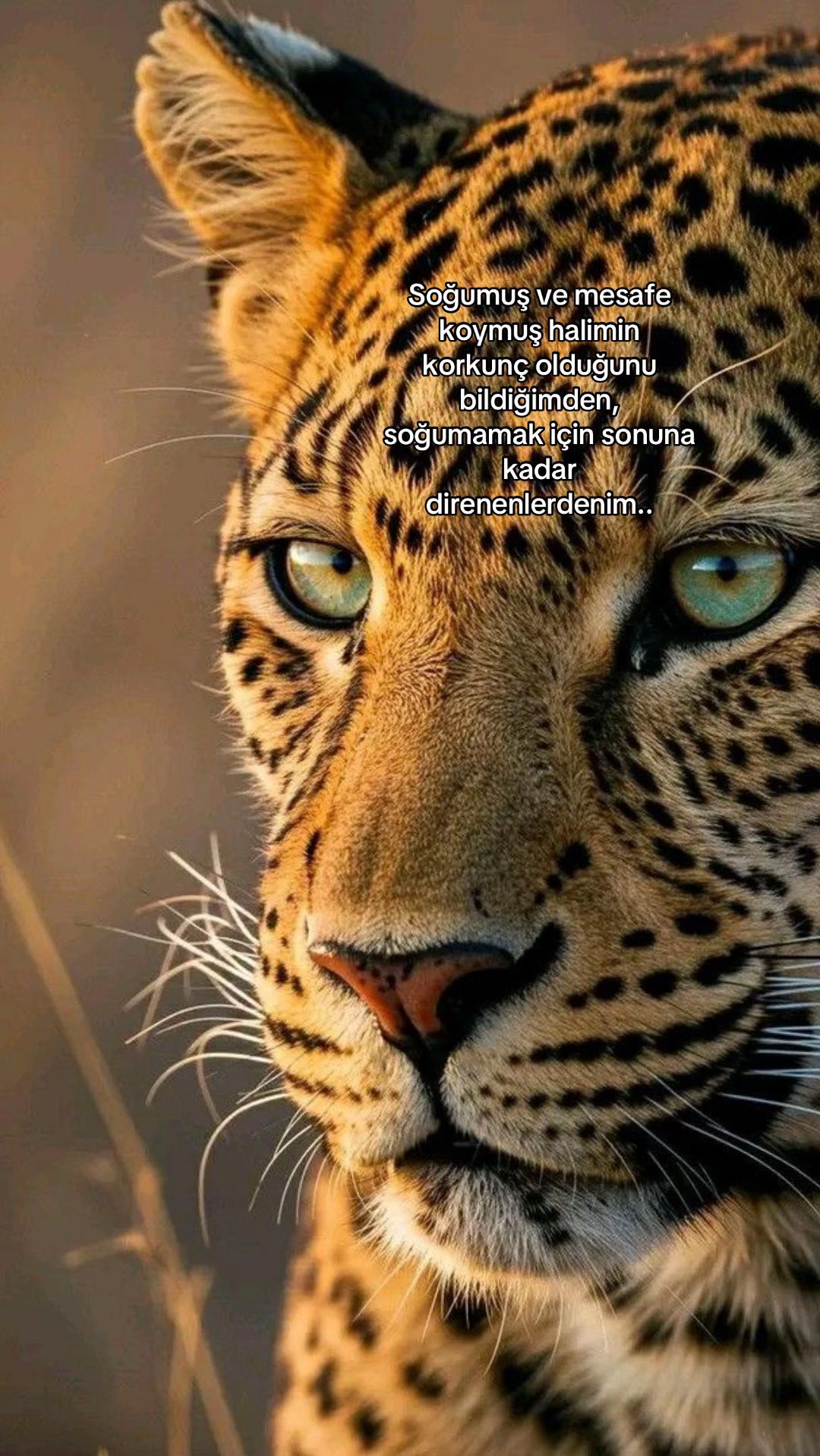 @Atarlı Kadın