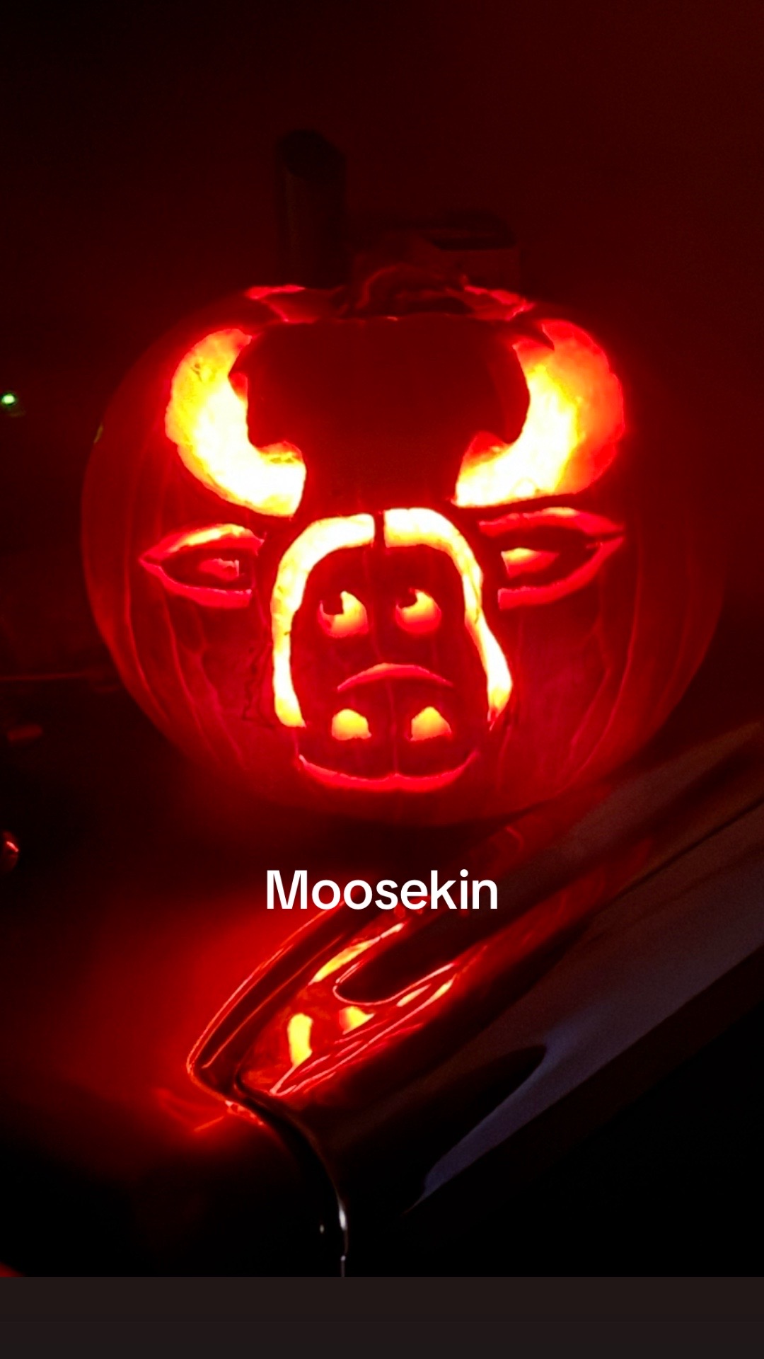 @moosen around