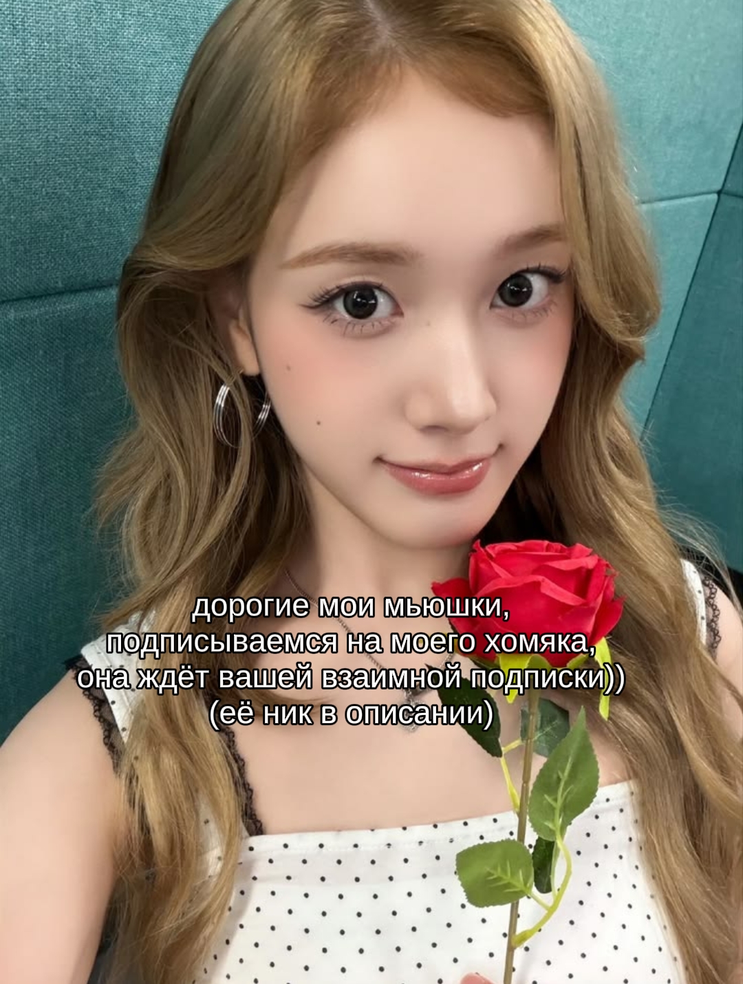 @ванилка⁶ VV