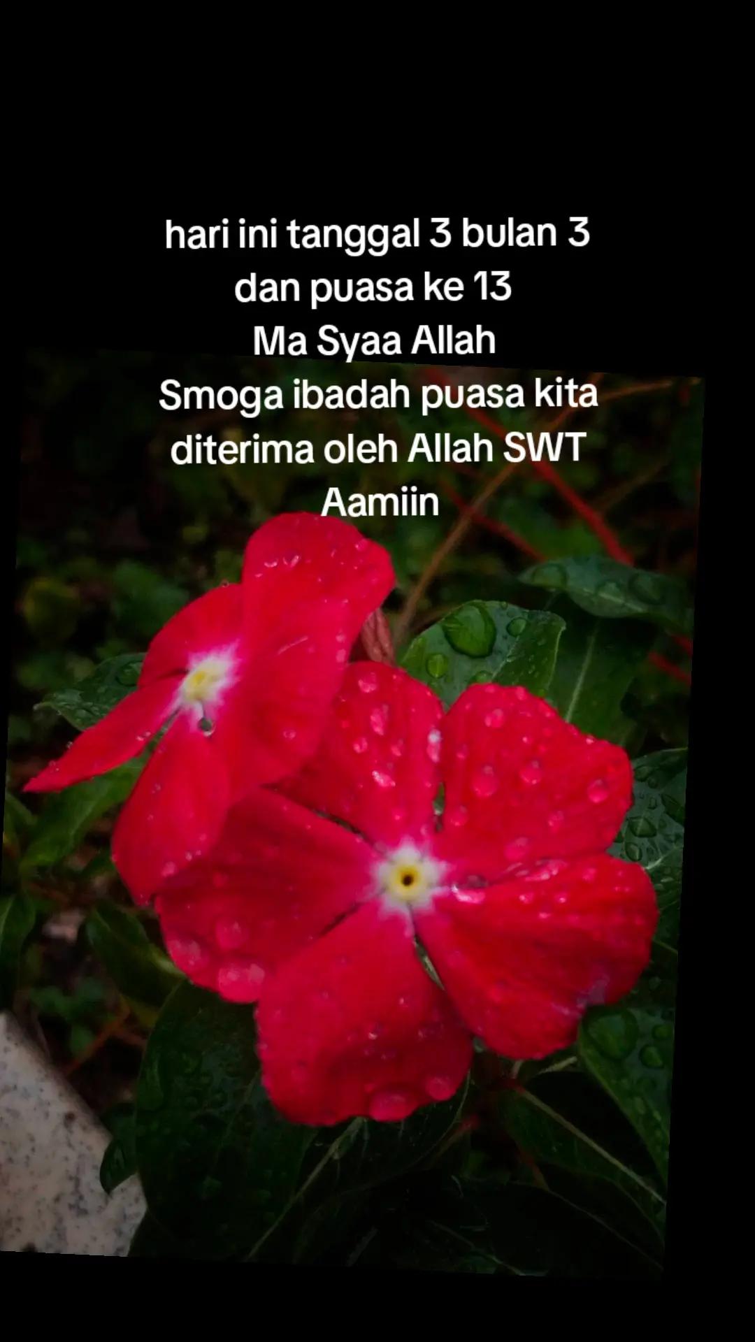 @dhesri73