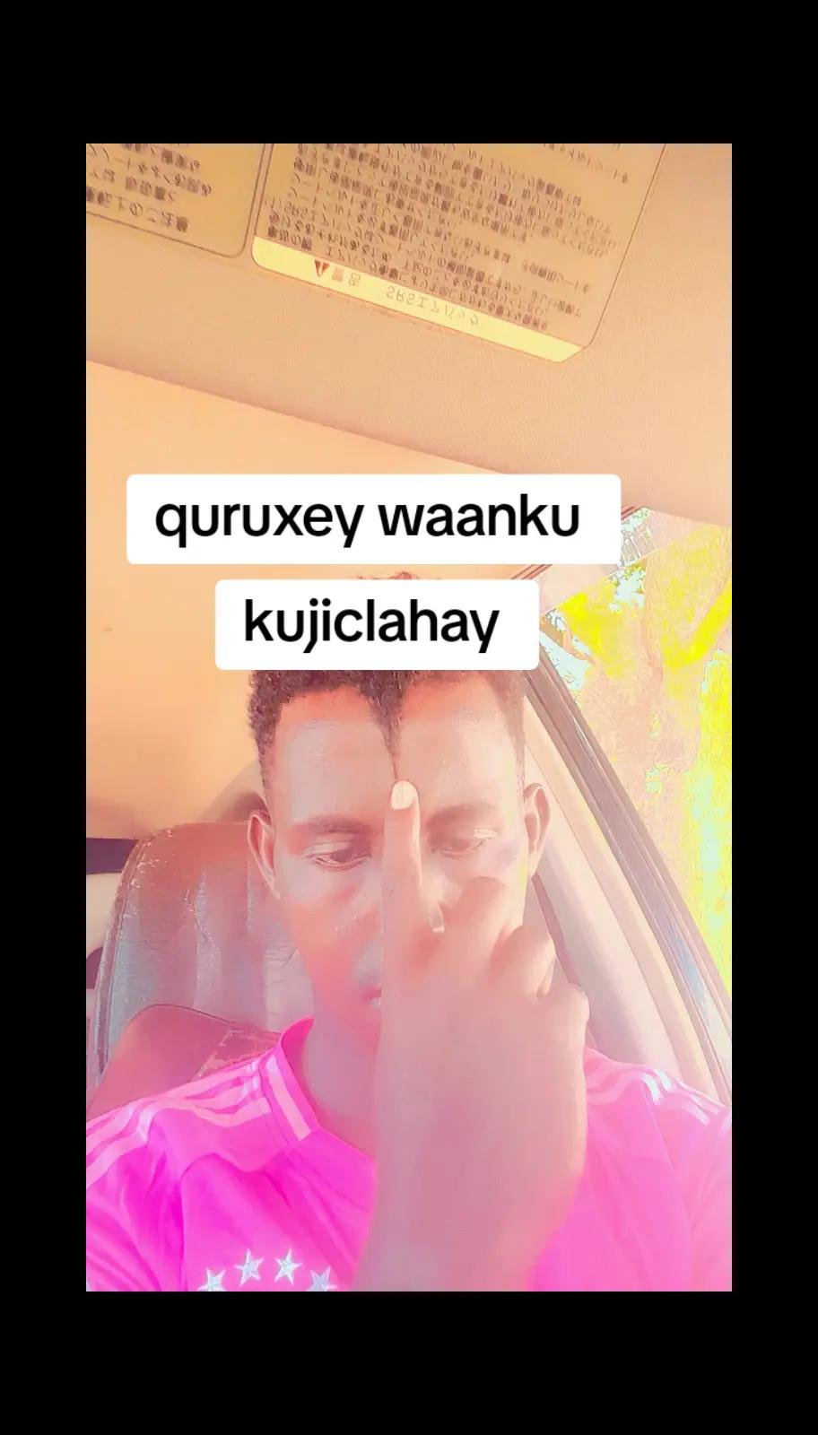@xarakeye muuse