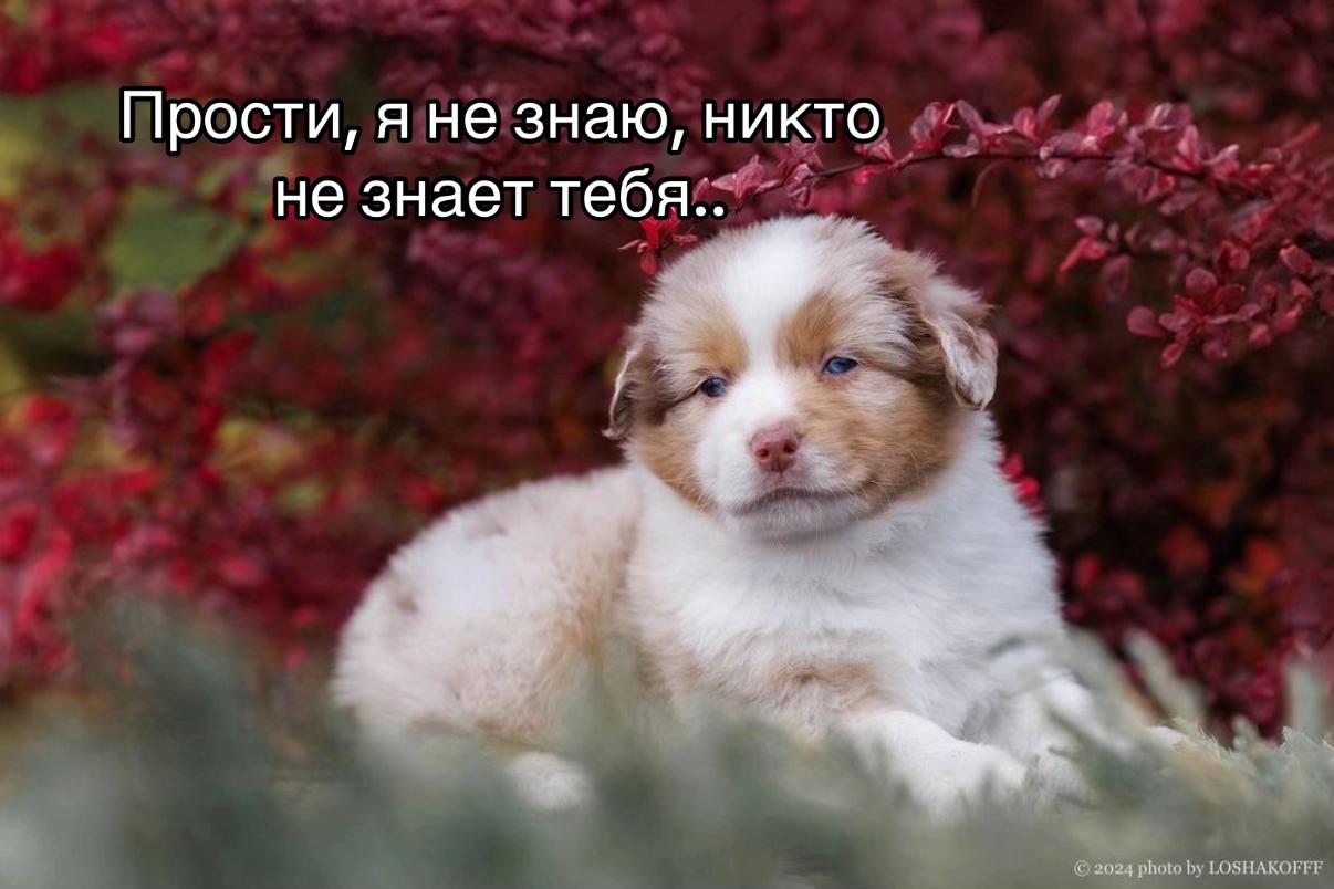 @𝚃𝚠𝚒𝚡