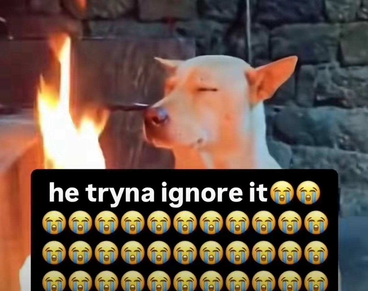 @vince
