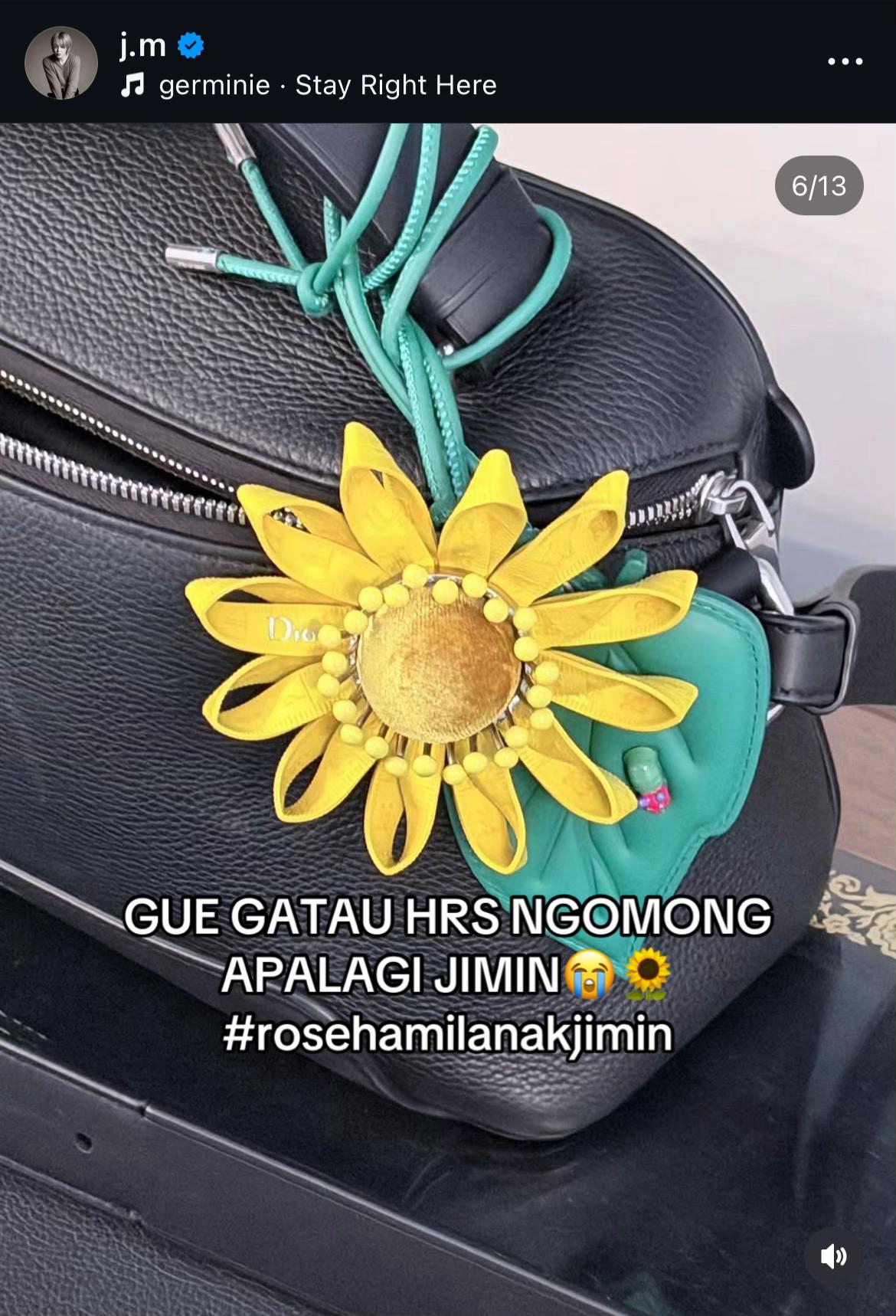 @eitherosieorjimin