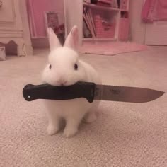 @Ø