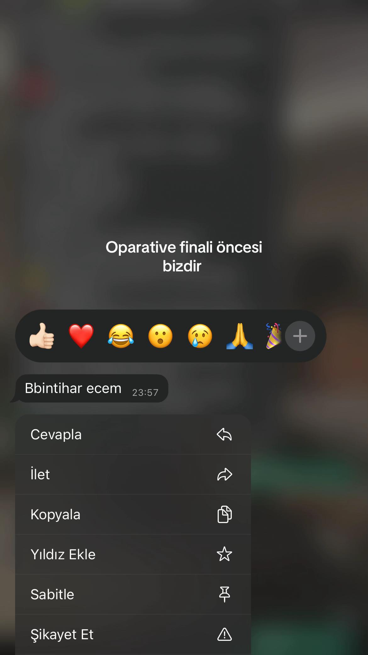 @aysenurdincer
