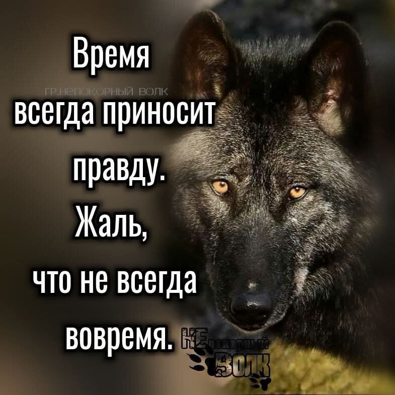 @erjan_talas