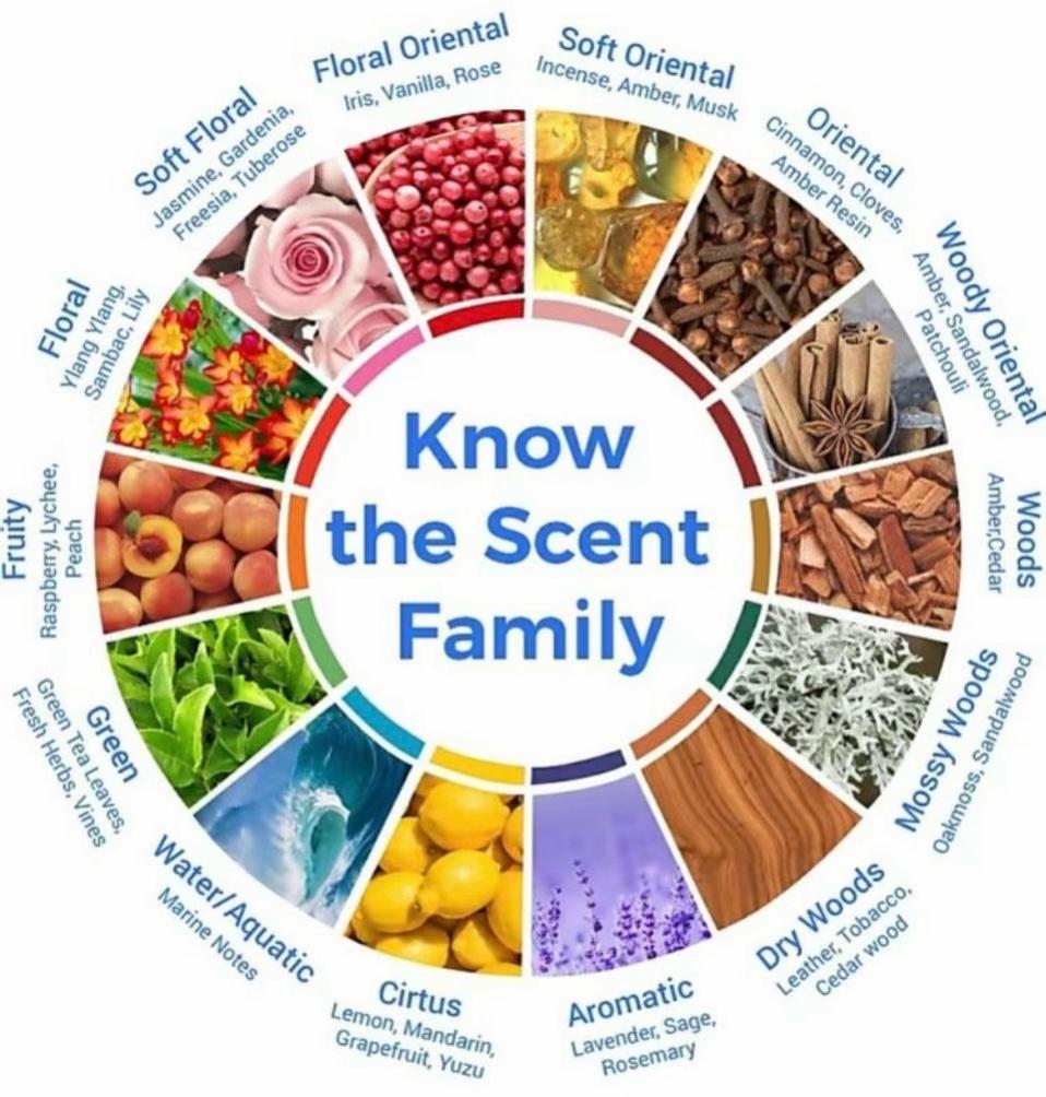 @CRAZY FRAGRANCE