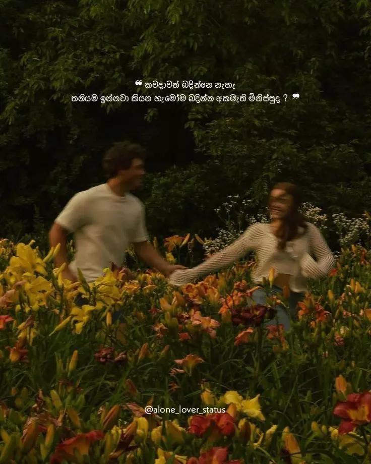 @🍃ᴀʟᴏɴᴇ_ʟᴏᴠᴇʀ_sᴛᴀᴛᴜs🥀🍂
