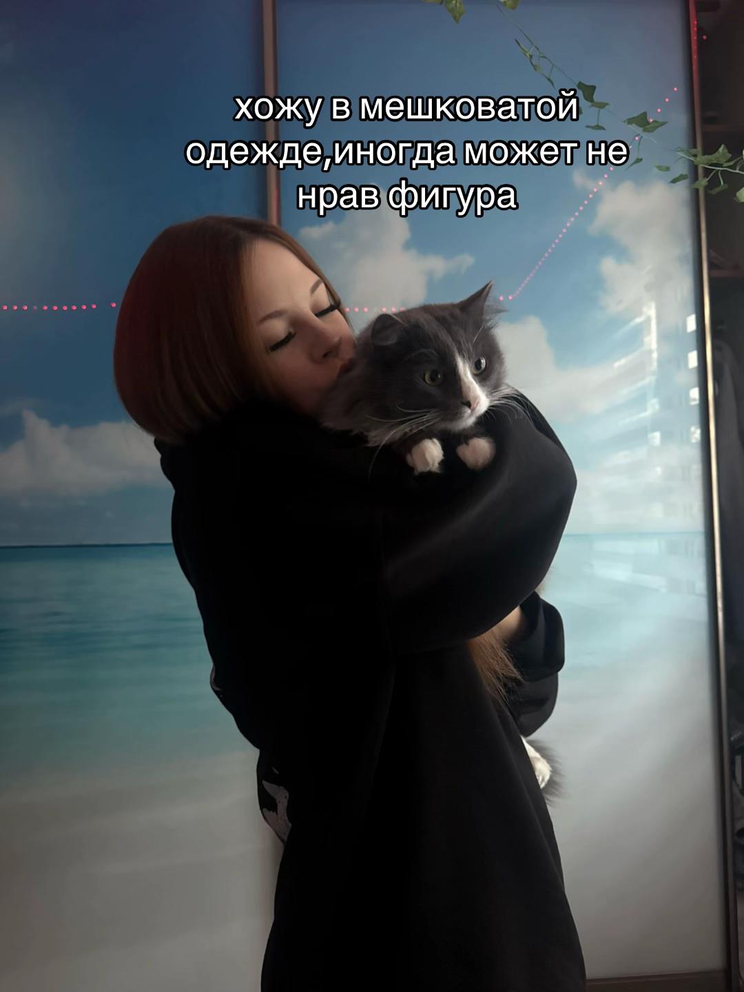@кошка