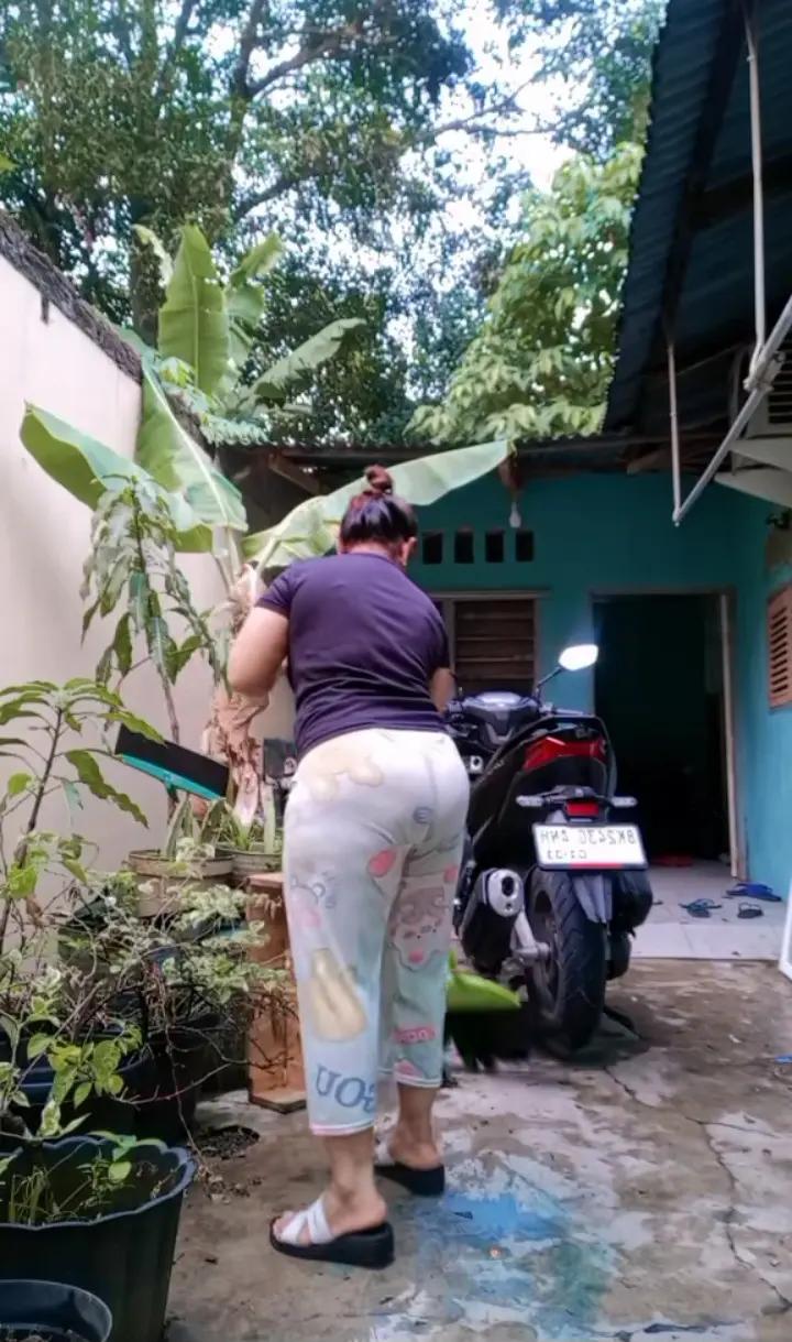 @windachan1