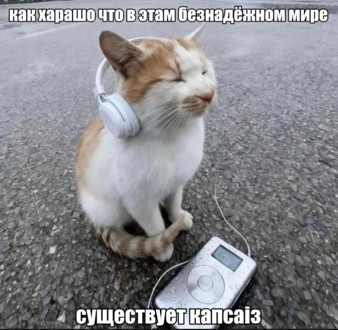 @mythware666