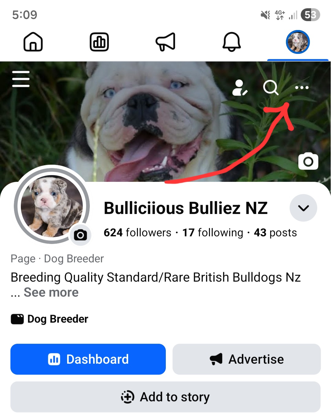@Bulliciious Bulldogs Aotearoa