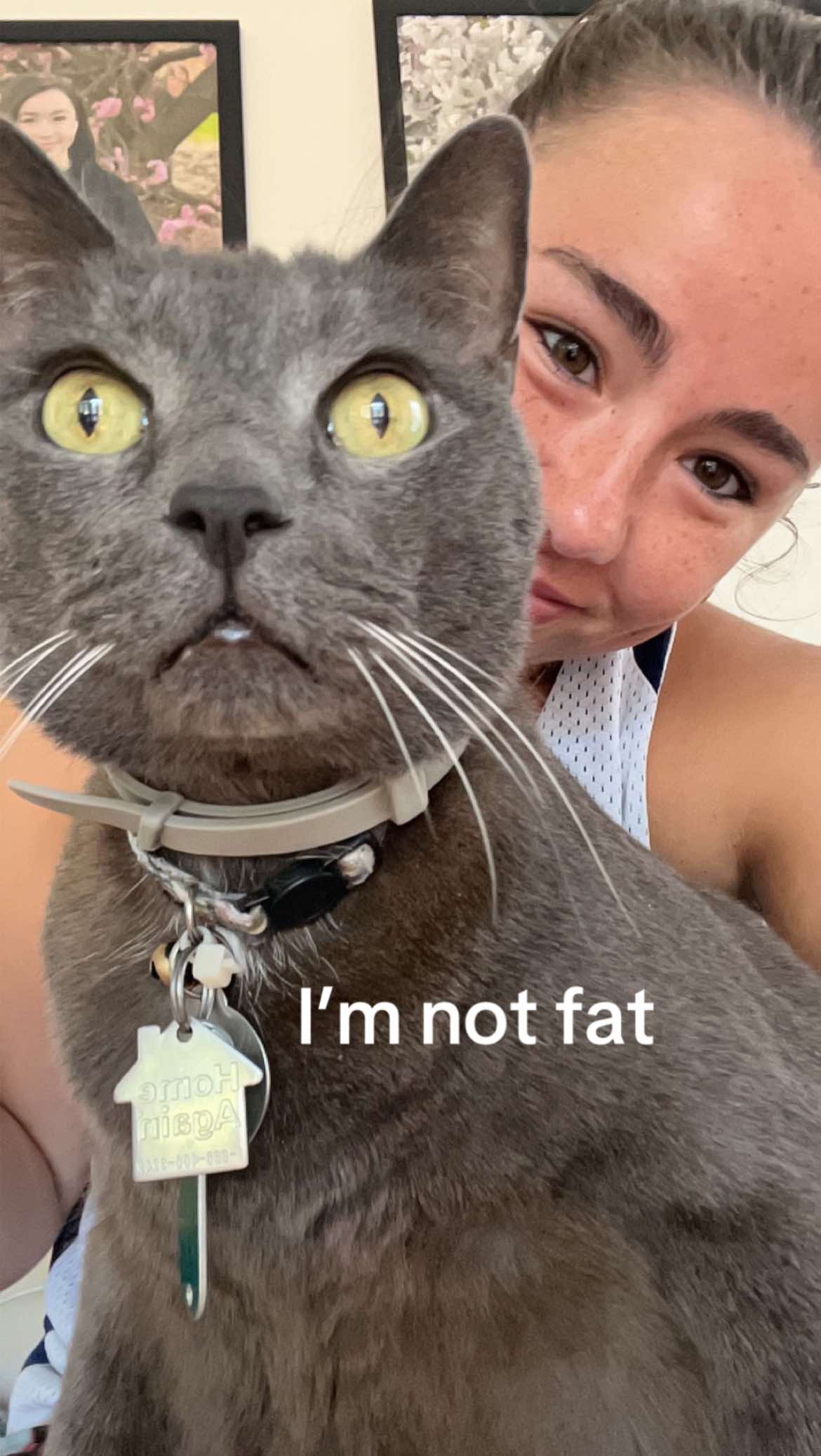 @meg