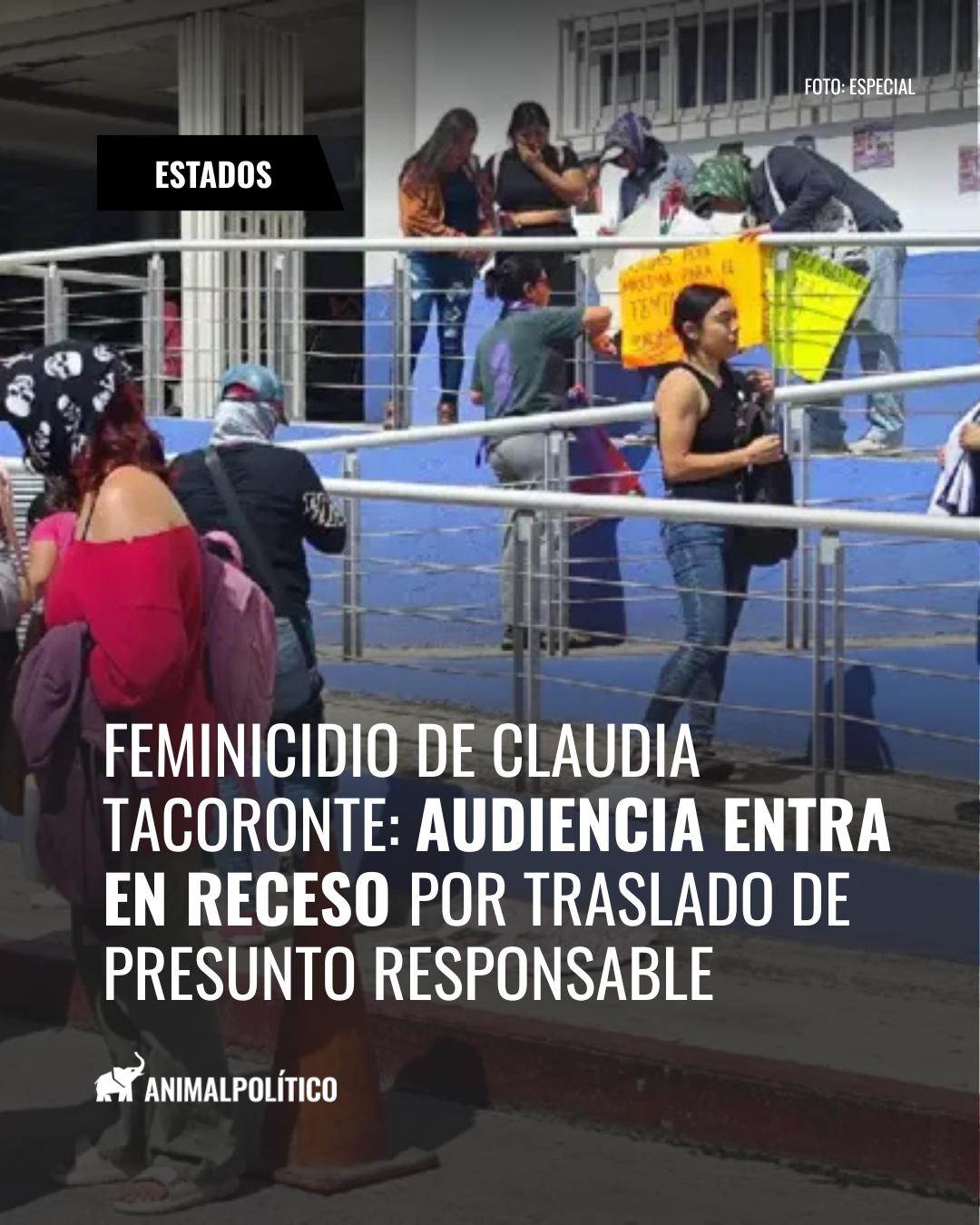 @animalpoliticomx