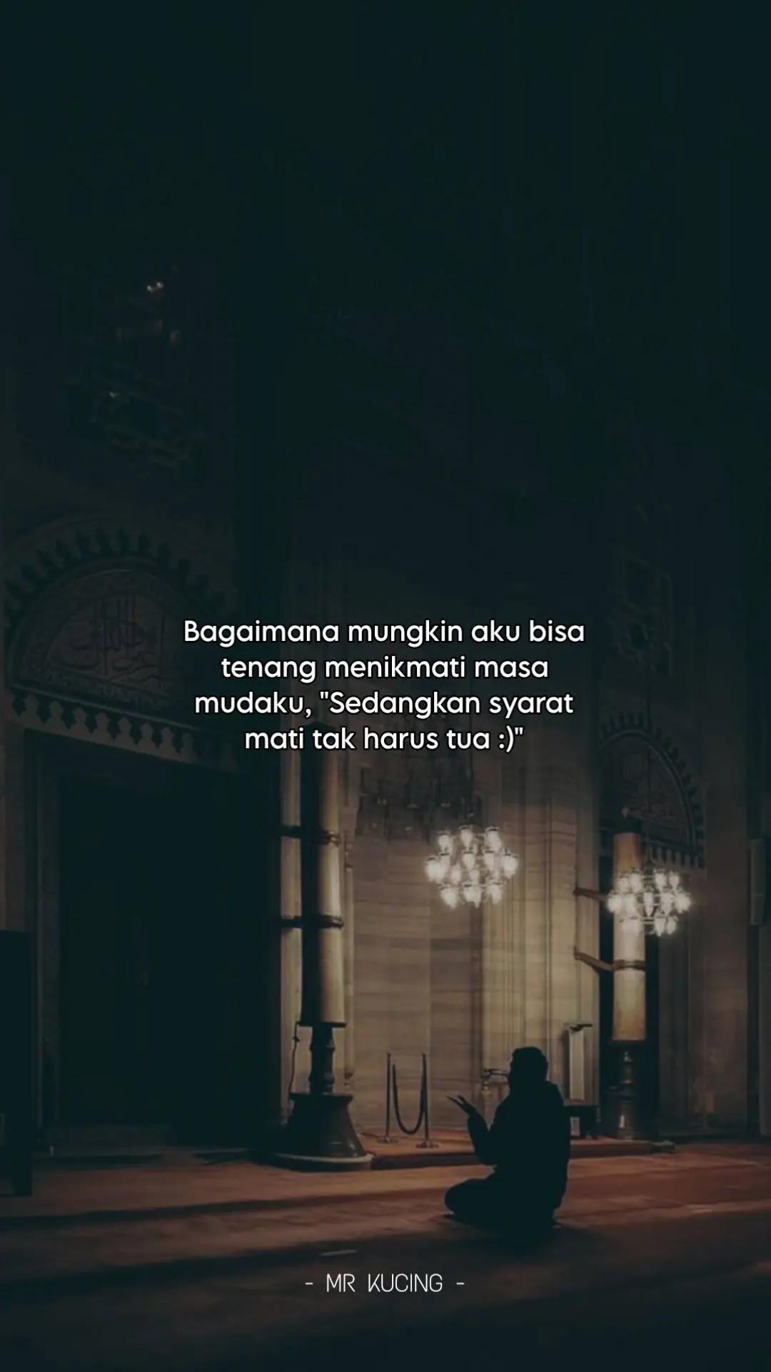 @MR KUCING 🇵🇸