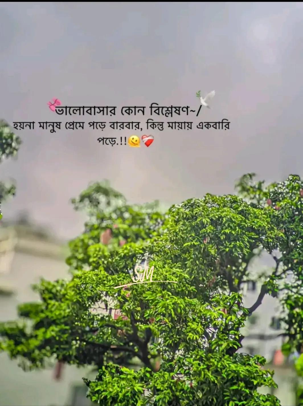 @মিথ্যা হাসির অপূর্ব মায়াツ🌿