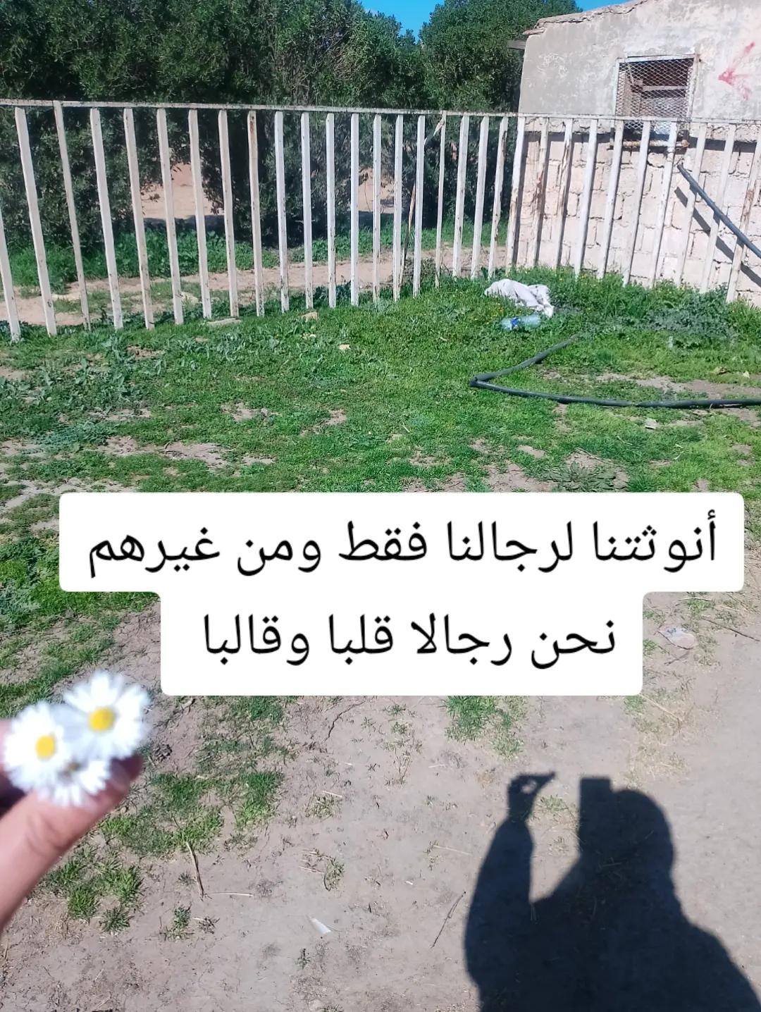@༺༻𝓐𝓼𝓼𝓲𝓪 𝓵𝓪 𝓠𝓾𝓮𝓮𝓷♕