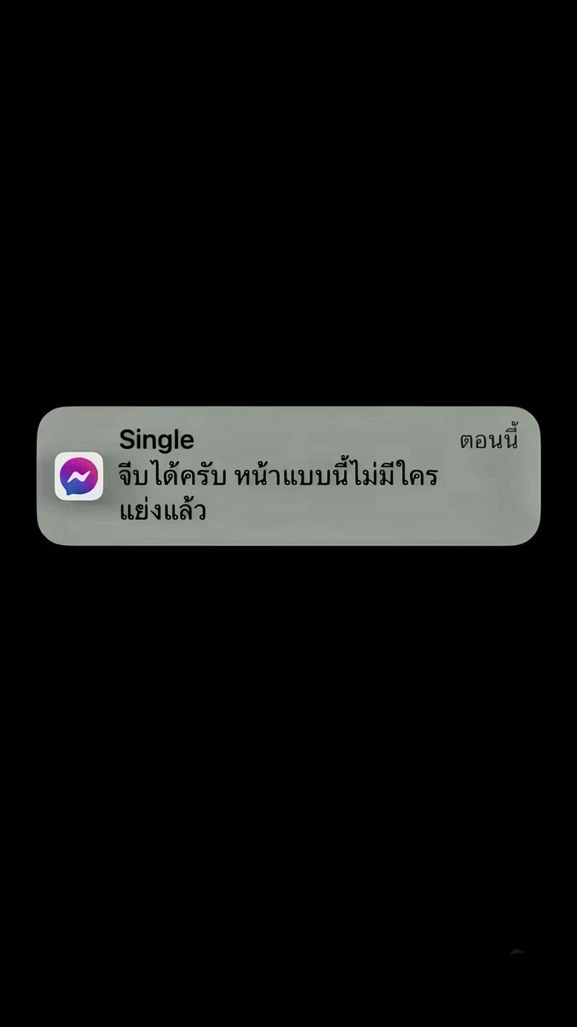 @ตังเมหยี 🐈