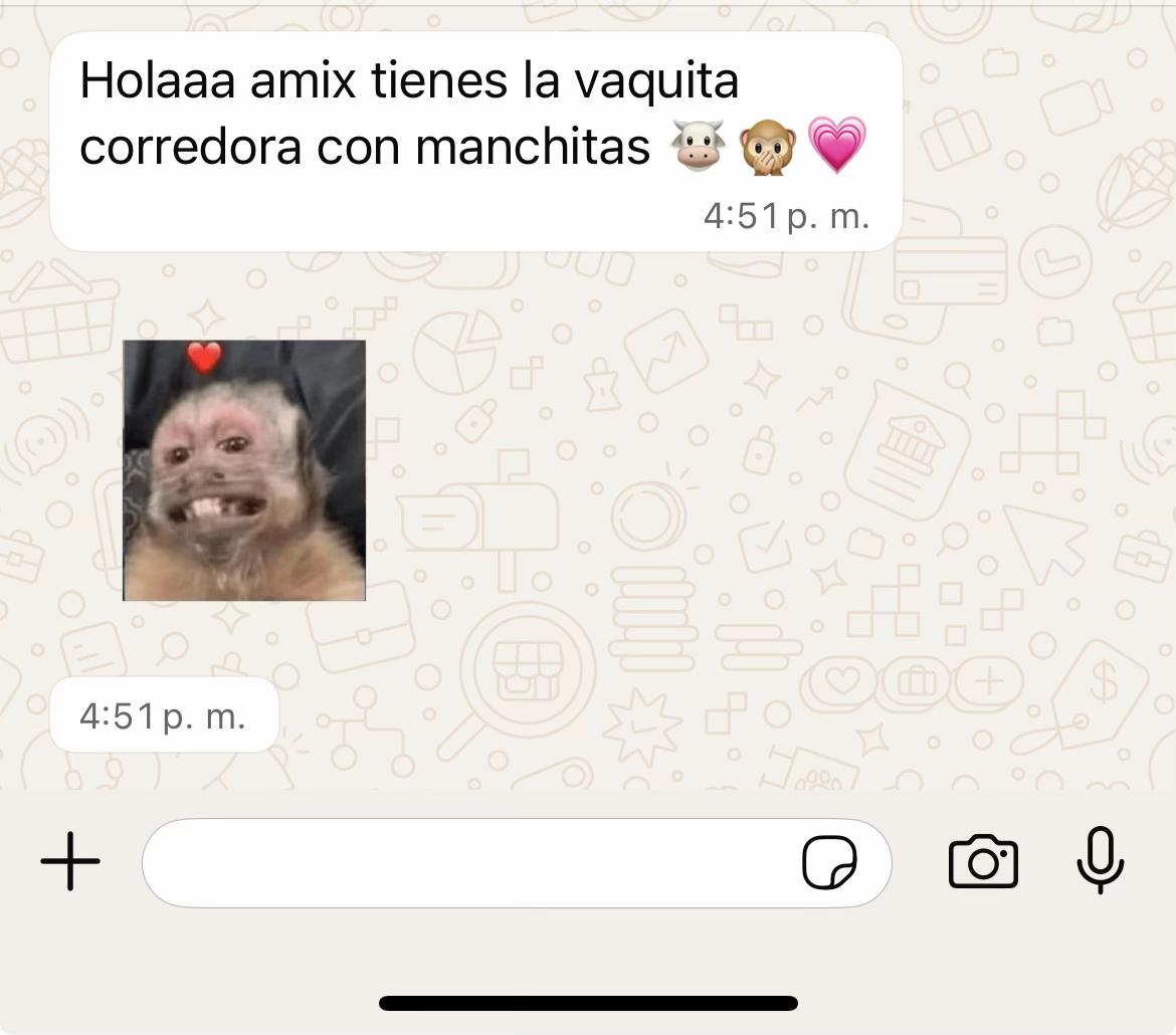 @yauz_bear1
