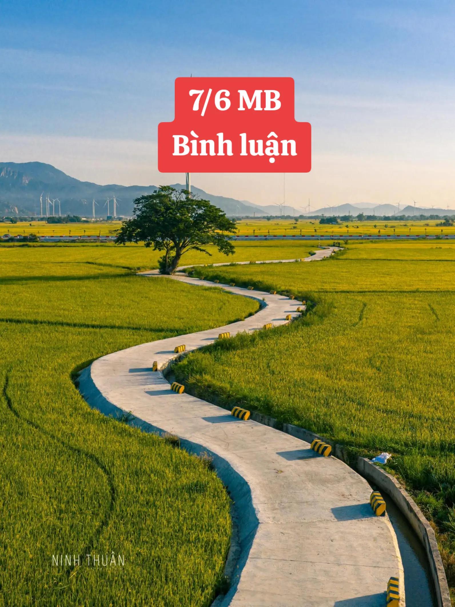 @Lê Miền Bắc