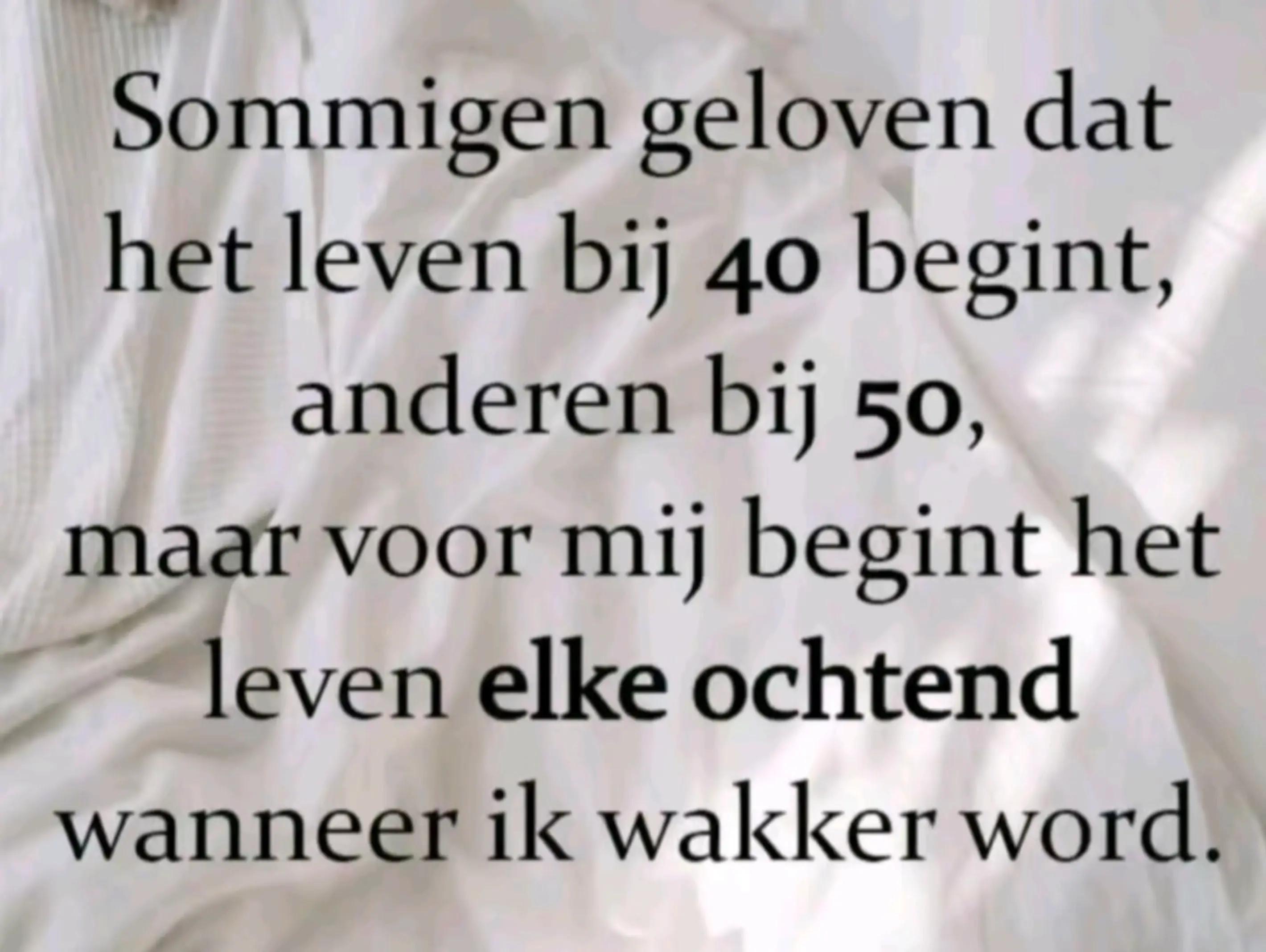 @willem