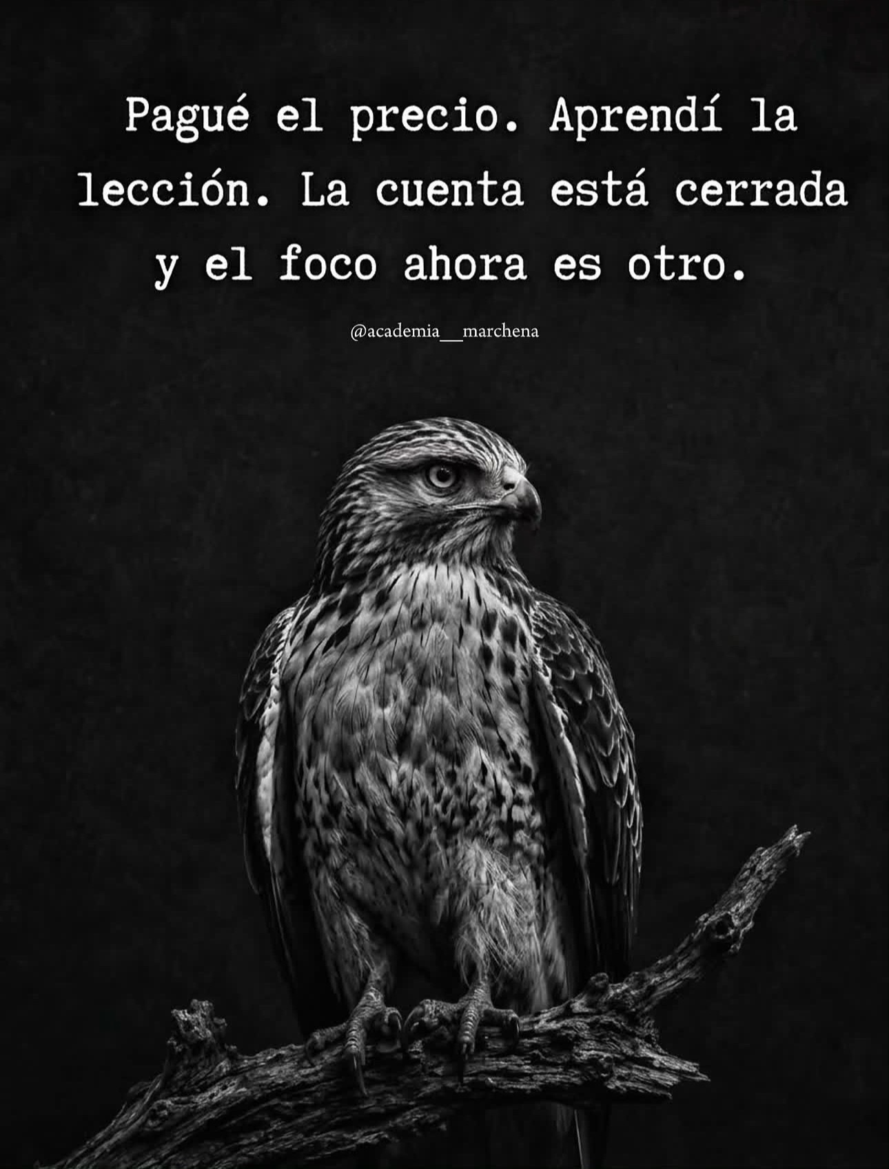 @Vicente Hernandez