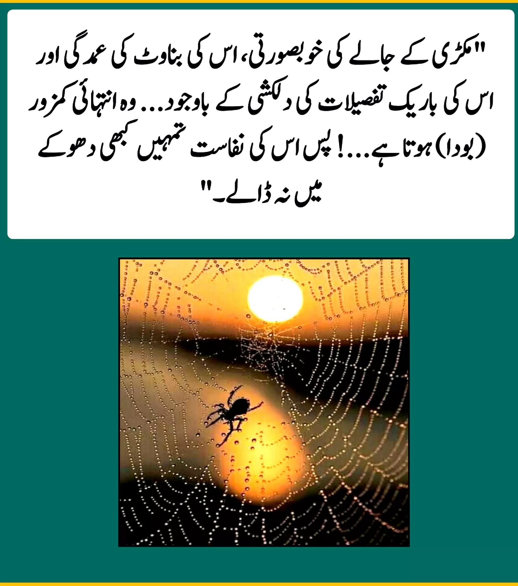 @Ghazi khail