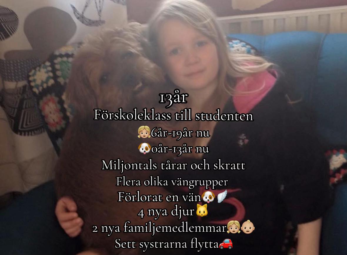 @signe_johansson🎀