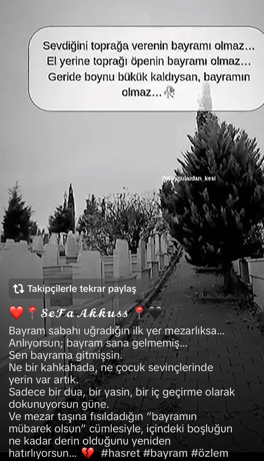 @Berna36