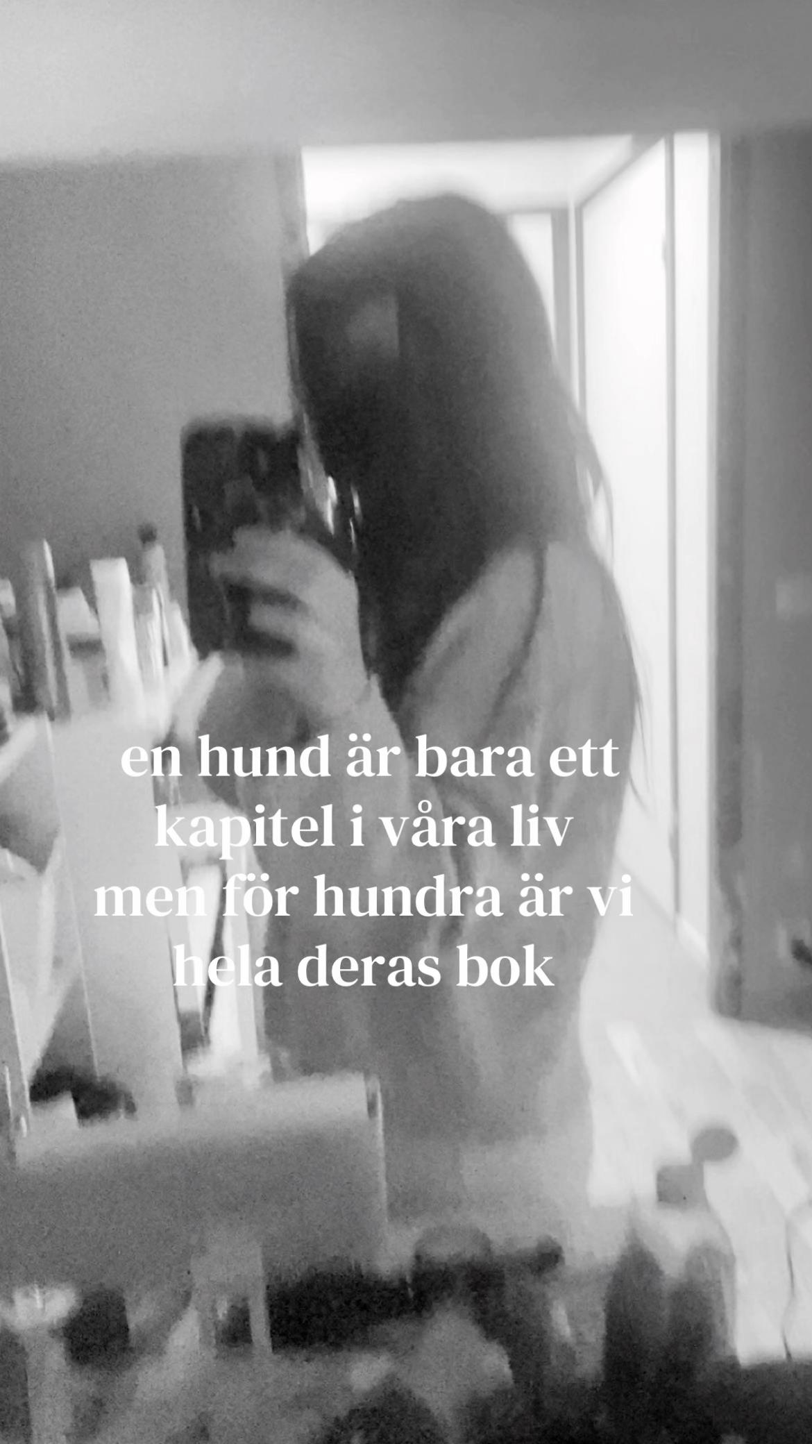 @๐๐ฎ๐ท๐ท๐๐