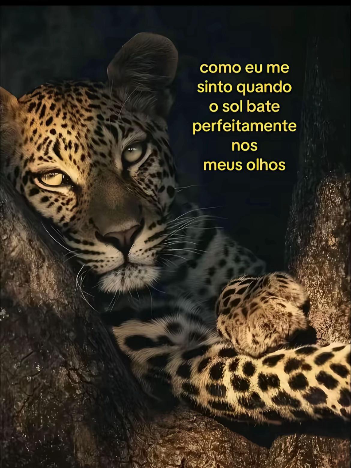 @lavinnyaaa