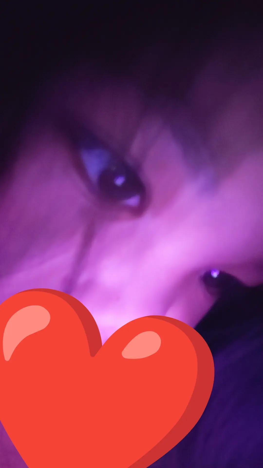 @Yannah_cantandijan17