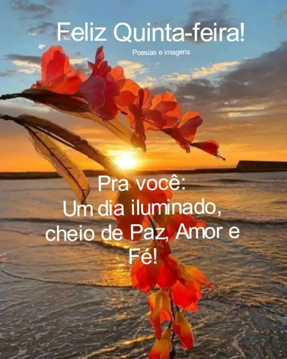 @Opoetabeijaflor