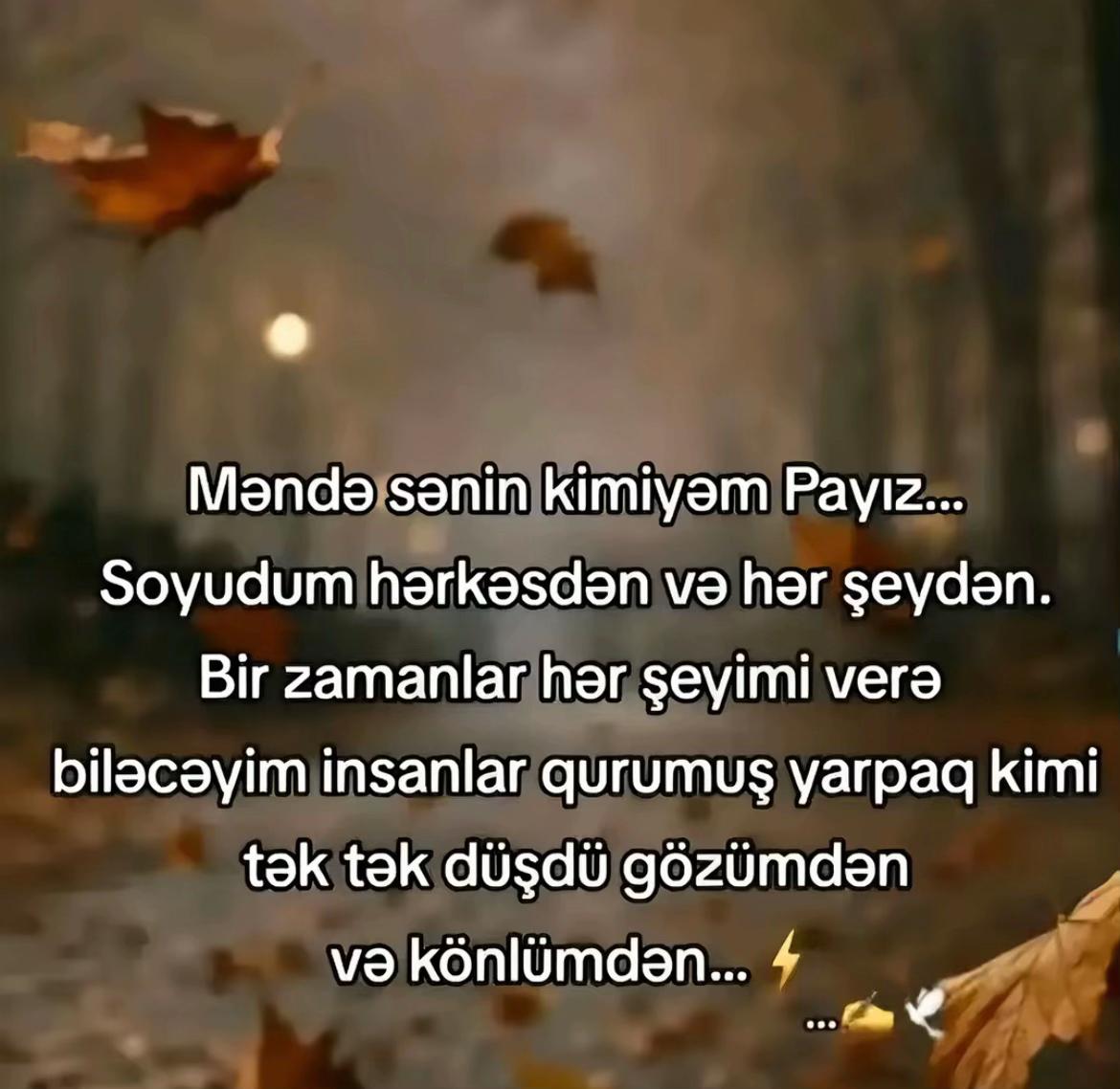 @xeyale♉