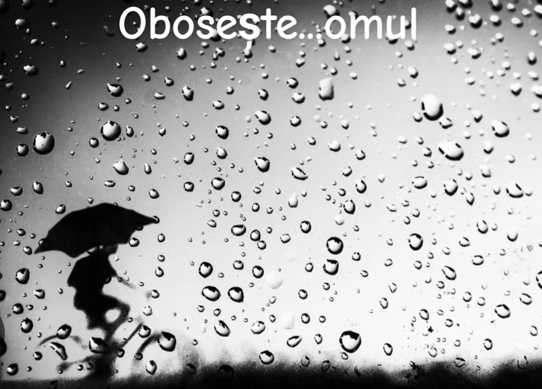 @,,Un Anonim"