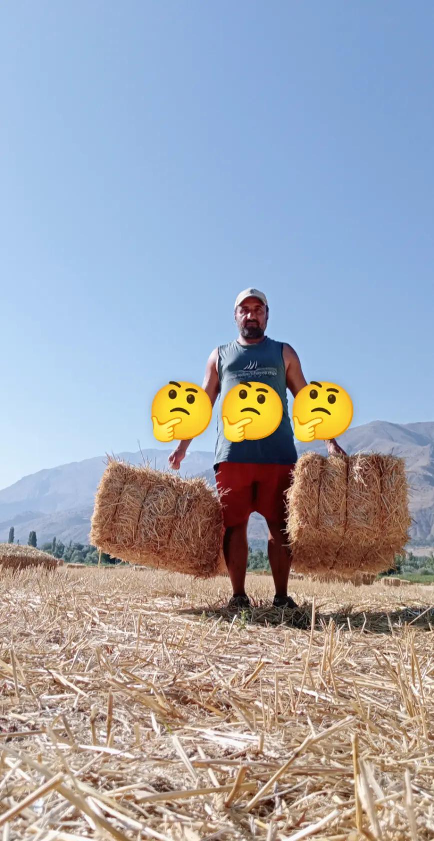@Selçuk24🦅🦅🦅🌞🗻🏞️